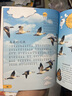 学而思 DK课本里的大百科.1级.上 课本里的十万个为什么 1-3年级语文数学科学融合（适用于一年级上） 实拍图