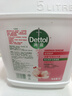 滴露（Dettol）洗手液补充装大桶消毒滋润5L 儿童家庭装杀菌护手 实拍图