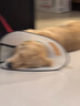 欢宠网 伊丽莎白圈耻辱圈特大号狗狗项圈猫项圈宠物狗脖套猫头套防咬圈狗用品+1号80斤以下宠物 实拍图