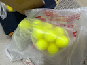 尚烤佳（Suncojia）驱蛇丸 户外驱蛇粉 长效驱蛇药 家用防蛇神器 草坪庭院防蛇咬药丸 实拍图