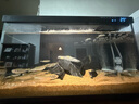 萌嘟星宠 鱼缸底砂水族箱底沙子细沙黄花色龟缸多肉装饰0.5-1mm 太行黄沙 实拍图