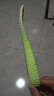 迈高乐zoom运动鞋内增高鞋垫隐形爆米花减震男女高帮2.5cm 41-42 实拍图