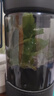 福茗源 茶叶 花草茶 小叶苦丁茶叶 新茶峨眉山青山绿水嫩芽单叶袋装250g 实拍图
