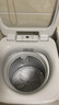 海尔（Haier）迷你洗衣机小型波轮5公斤儿童母婴内衣洗洗衣机全自动DD直驱变频一级能效国家政府补贴20%以旧换新 5公斤旗舰新品388小小神童+直驱+除菌+柔护内筒 实拍图