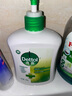 滴露（Dettol）洗手液松木500g瓶 健康抑菌消毒非补充装 儿童家庭用清爽去油 实拍图