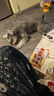 麦富迪（Myfoodie） 狗狗零食 鸡肉卷夹心牛皮180g成幼犬磨牙棒训练奖励宠物零食 实拍图