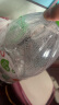 屈臣氏（Watsons）蒸馏水蒸馏制法纯净水大桶饮用水家庭装泡茶煲汤4.5L*4桶整箱装 实拍图