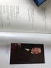 【译文插图珍藏本】 安徒生童话与故事全集 布面精装 小经典 实拍图