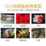 淘歌南极磷虾干300g 龟粮虾干银龙鱼粮罗汉招财鱼食不含盐虾干 实拍图