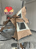 TANXIANZHE探险者帐篷户外全自动双人帐篷野外露营防雨3-4人休闲帐 卡其  实拍图