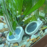 松宝（sobo）鱼缸增氧泵养鱼氧气泵小型家用充氧泵水族箱打氧机增氧泵 双孔3W 实拍图