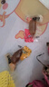 香辣鱿鱼仔满籽墨鱼仔小包装原味麻辣带籽炭烧即食熟食零食小吃 【混合味】鱿鱼仔20g*2包 实拍图