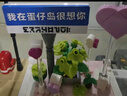 奥迪双钻（AULDEY）蛋仔派对蛋仔岛场景积木蛋小粉路标男孩女孩玩具生日礼物 实拍图