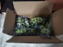 香水柠檬新鲜水果海南无籽青柠檬水果奶茶店专用 海南香水柠檬带箱5斤单果60g起 实拍图