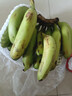 高山精品甜蕉现摘新鲜水果香蕉孕妇宝宝辅食搭配丫丫生鲜特产 8斤装【青蕉发货】 实拍图