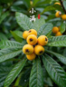 蓓昂斯（BYPHASSE）净颜卸妆水500ml温和眼唇卸妆液舒缓敏感肌京东自营母亲节礼物 实拍图