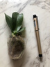 御春阁蝴蝶兰花苗盆栽室内观花植物桌面阳台年宵花卉四季开花绿植花卉 小女孩蝴蝶兰+透明原盆+原土 实拍图