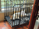 麦富迪狗粮藻趣儿15kg 成犬中大型小型犬通用牛肉螺旋藻 金毛泰迪柯基 实拍图