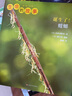 生命的故事 第1辑（共10册 ）蝌蚪小龙虾西瓜虫螳螂蚂蚁瓢虫 3-6岁昆虫高清实拍科普百科绘本 自然科学知识课外阅读《人民日报》推荐 实拍图
