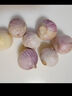 京喜自营云南蒜独头蒜调料京东买菜蔬菜新鲜独头蒜 优选 1斤 毛重单果1.5-2cm 实拍图