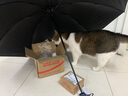 天堂 防晒阳伞三折 遮阳伞黑胶防晒伞贝壳图案三折叠晴雨伞 午夜蓝 实拍图