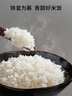 九阳（Joyoung）0氟系列珐琅瓷釜4升电饭煲 4~6人家用0特氟龙电饭锅微压35分钟快煮多功能预约柴火饭杂粮饭40NF02 实拍图