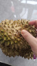 佳沛（zespri）新西兰 金果12粒猕猴桃礼盒特大果单果约122-146g 端午节水果礼盒 实拍图