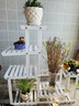 华观家居（Home Giving Furniture）多层实木花架阳台置物架室内花架子客厅落地式多肉绿萝花盆植物架 D款白色带轮 实拍图