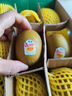 佳沛（zespri）新西兰  阳光金奇异果16粒礼盒经典果单果约 77-103g 水果 猕猴桃 实拍图