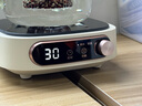 美的（Midea）电陶炉煮茶器养生煮茶炉家用电陶茶炉红外加热不挑器具办公室围炉迷你电磁炉HW10W1-002（不带壶） 实拍图