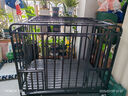 宠乐乖（CHONGLEGUAI）全方管狗笼大型犬中型犬家用带厕所拉布拉多金毛狗笼子92 实拍图