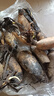 惜林园食用莲藕苗种根池田大型蔬菜荷花苗粉脆藕种根苗菜瓜 脆藕苗5棵 【新藕苗】 裸根不带土 实拍图