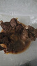 伊赛国产谷饲原切去骨牛肋条2斤 清真生鲜牛肉烧烤炖煮 实拍图