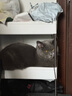 麦富迪猫粮 超肉粒冻干双拼成猫粮美毛护肠胃 三文鱼10kg/20斤 实拍图