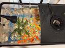 阔庭（KUOTING）鱼缸水族箱生态桌面鱼缸新款懒人鱼缸过滤制氧一体黑色【特大号】 实拍图