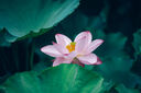 尼康（Nikon）Z5全画幅微单相机 微单套机（Z 24-50mm f/4-6.3 微单镜头）Vlog相机视频拍摄 实拍图