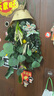 京东鲜花 实用永生花干花花束按摩捶香囊门挂装饰伴手礼毕业礼物送老师 实拍图