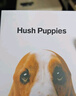 暇步士（Hush Puppies）皮带男牛皮腰带自动扣商务男士腰带礼盒装生日礼物送男朋友父亲 实拍图