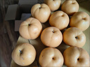 【今年新果】正宗新鲜丰水梨冰糖脆甜薄皮水果非秋月梨沐驰 丰水梨带箱2斤 实拍图