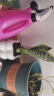 佰花锦办公桌面绿植盆栽发财树室内客厅奶油风网红盆景精致美观四季好养 虎皮兰+PVC白泡泡盆 整体高度约15-25cm 实拍图