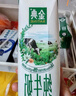 伊利金典纯牛奶整箱 200ml*12盒 3.6g乳蛋白 原生高钙 礼盒装 实拍图