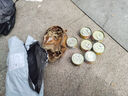 麦富迪 狗狗零食 清口香混合味220g成幼犬磨牙棒训练奖励洁齿宠物零食 实拍图