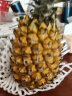 广东徐闻香水菠萝新鲜水果生鲜热带孕妇水果整箱包邮 【限时低价】1个装  单果650g起 实拍图