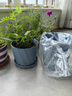九千谷花盆创意欧式简约蓝色小号2个装多肉植物简约塑料花盆带托盘4245 实拍图