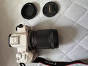 佳能（Canon）微单相机镜头 微单变焦镜头打鸟 适佳能R100 R10 R50 V R7 R8 RP R6 R5二代微单相机 RF-S 18-150 IS STM远摄变焦镜头 官方标配【赠送UV滤镜 实拍图