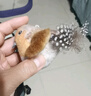 HOUYA灰色仿真鸟叫声逗猫棒羽毛磨牙发声猫用品仿真小鸟猫玩具鸟 实拍图