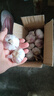 紫白皮蒜水果大蒜超市即食生鲜蔬菜大蒜 【优选】带箱 1斤 单果3.5-5cm 实拍图
