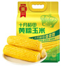 十月稻田 黄糯玉米 3.52斤(220g*8根) 东北甜黏玉米棒 早餐苞米 真空包装 实拍图