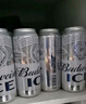 百威啤酒冰啤酒500ml*18听+淡色拉格450ml*3听组合装  实拍图