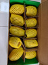 佳沛（zespri）绿奇异果 优选大果12粒单果约113-135g  水果礼盒 猕猴桃 实拍图